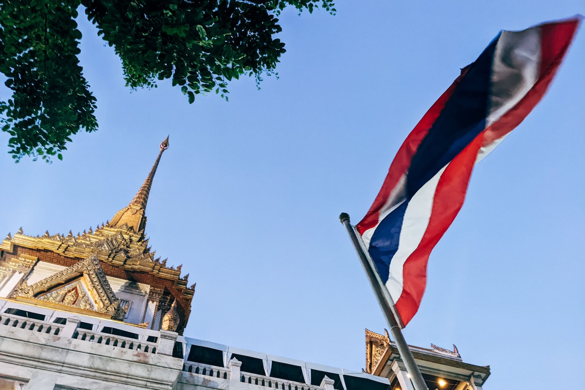 Why did Thailand legalize cannabis? What are the implications of cannabis?